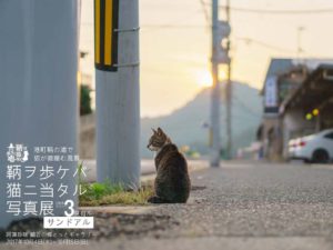 「鞆ヲ歩ケバ猫ニ当タル写真展サンドアル」へ行ってみた