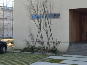 「大きくてシンプルな家」の玄関先に植栽