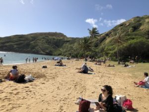 ハワイ旅行４日目（2019年2月13日）