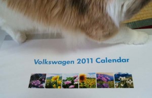 calendar-1